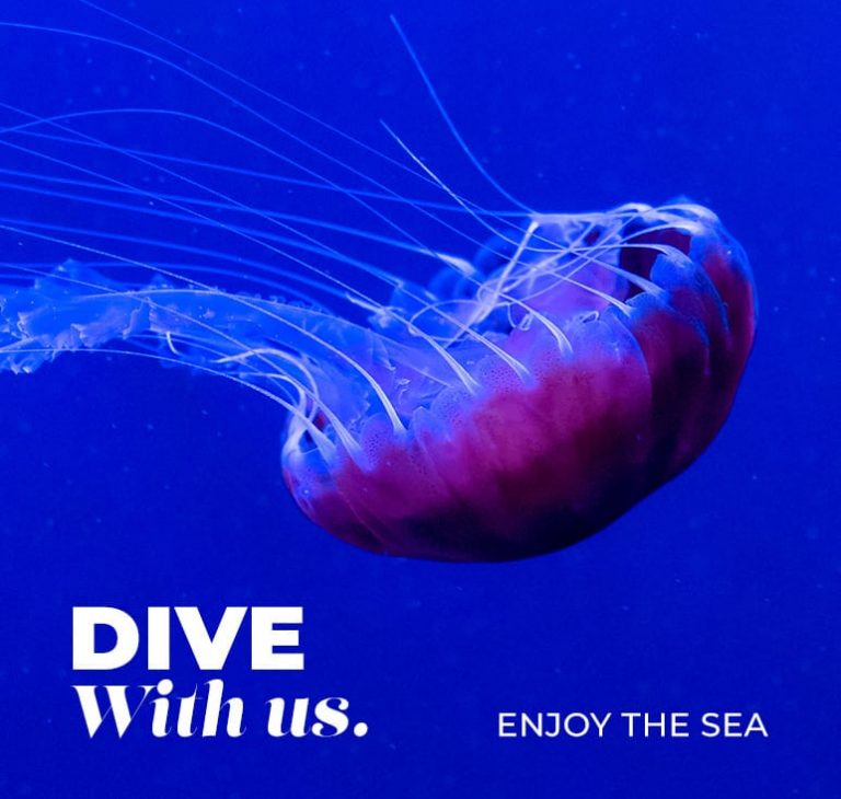 dive-with-us.jpg